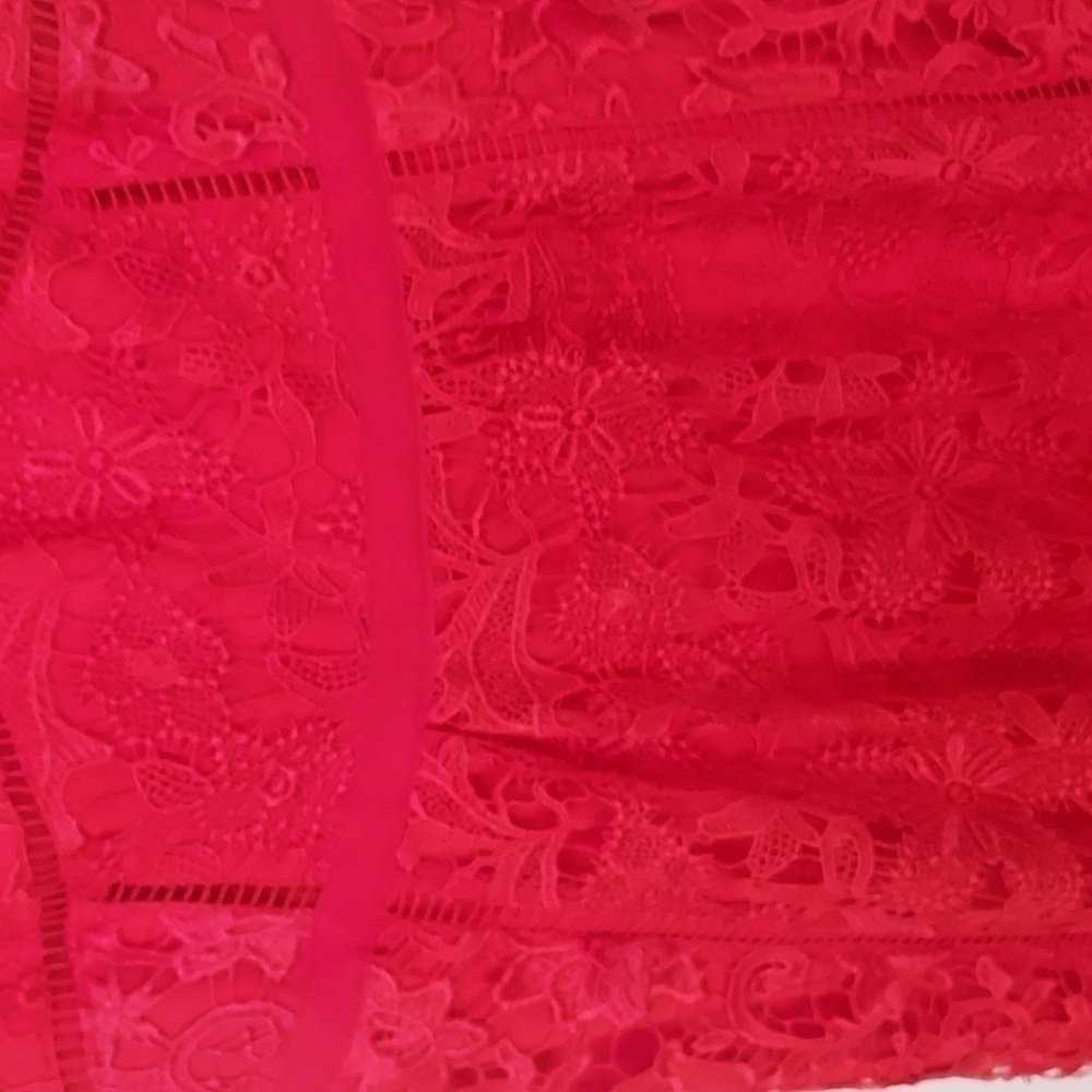 Ted Baker Valens Red Lace Midi Dress - Picture 11 of 12